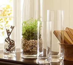 three vases filled with plants and rocks on a table