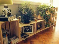 a wooden shelf filled with lots of plants and books next to a lamp on top of a hard wood floor