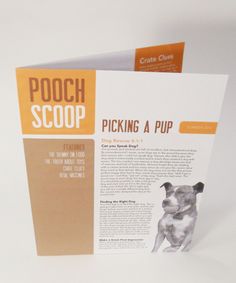 the front and back cover of a book with an image of a dog on it