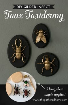 three gold insect magnets are on the wall