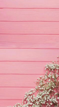 white flowers against a pink wooden background