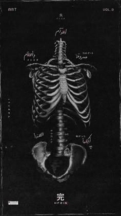 a black and white photo of a skeleton with the words written in chinese on it