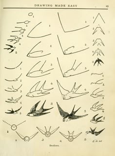 an old book with drawings of birds flying in the sky and on top of each other