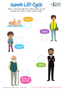 the human life cycle worksheet for kids and adults with pictures of people in different ages