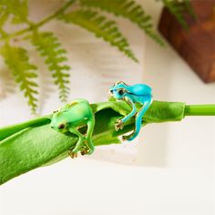 two green and blue frogs sitting on top of a plant