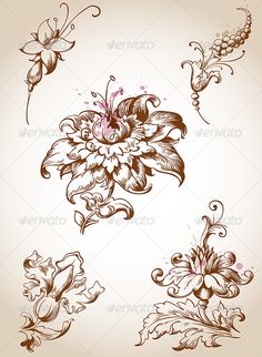 an image of flowers and leaves on a white background stock photo, royaltying material