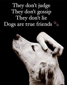 a black and white photo with a dog's paw on its face, the words dogs are true friends