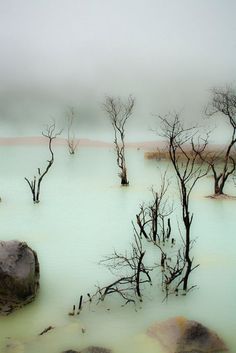 The Mist, Pretty Places, Wisteria, 그림 그리기, Pretty Pictures, Beautiful World, Java, Mother Nature, In The Middle