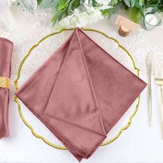 5 Pack | Dusty Rose Premium Sheen Finish Velvet Cloth Dinner Napkins | 20inch x 20inch Color Terracota, Velvet Cloth, Beverage Napkins, Cloth Dinner Napkins, Velvet Color, Table Napkins, Linen Napkins, Cloth Napkins, Dinner Napkins