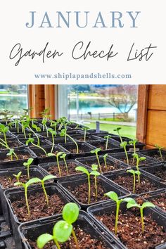 the garden check list is filled with small plants and dirt in plastic trays on top of