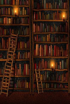 there are many bookshelves with ladders in the room and lights on them