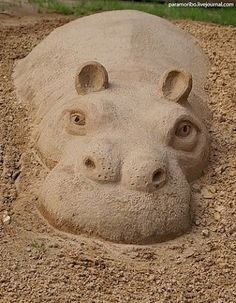 a sand sculpture of a hippopotamus head