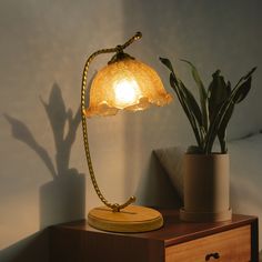 a table lamp sitting on top of a wooden dresser next to a potted plant