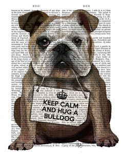 an image of a bulldog holding a sign that says keep calm and hug a bulldog