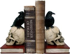 a bookend with two books and a black bird on top of it in front of a white background