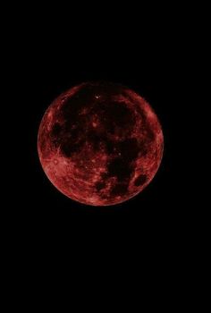 the red moon is seen in the dark sky