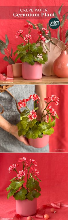 three different images of flowers in pink vases with green leaves on top and bottom