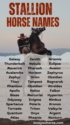 the poster for stallion horse names