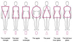 the body is shown with different positions and sizes for each individual to see in this figure