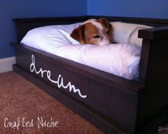 a dog laying on top of a bed with the word dream written in white ink