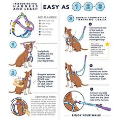 the instructions for how to use an easy leash