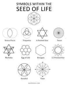 symbols with the seed of life written in black and white, including four different shapes