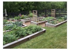 an outdoor vegetable garden with many different types of plants and vegetables growing in the raised beds