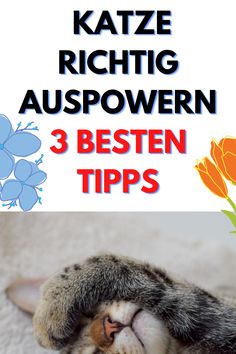 a cat sleeping on top of a white carpet with the title, 3 best tips