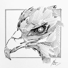 a black and white drawing of an eagle's head with its eyes wide open