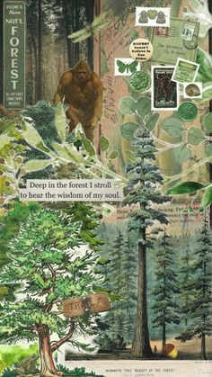 an image of a bear in the forest with trees and other things on it's side