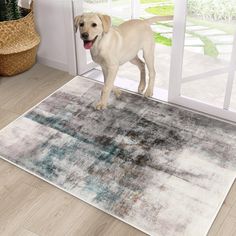 a dog standing on top of a rug in front of a door