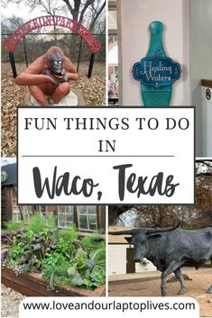 the words fun things to do in waco, texas with pictures of farm animals