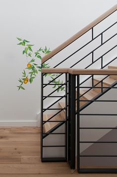 an orange tree is growing from the bottom of a stair case in front of a white wall