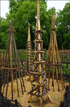 an assortment of wooden structures in a garden