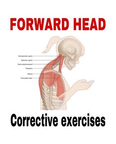 an image of a diagram of the back and shoulder muscles with text reading forward head corrective exercises