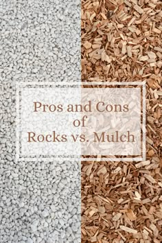 the pros and cons of rocks vs mulch