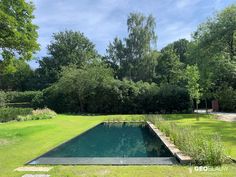 an empty swimming pool in the middle of a lush green yard with lots of trees