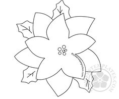 a flower with leaves on it is shown in the shape of a poinsettia