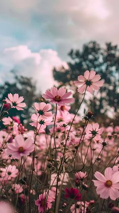 pink flowers are in the foreground with trees in the backgrounnd and clouds in the background