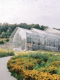 several large glass greenhouses with yellow flowers in the foreground and trees in the background