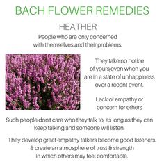 a poem describing the benefits of lavender flowers