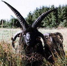 an animal with very long horns laying in the middle of some tall grass and trees