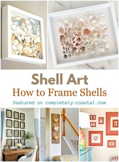 How to Frame Seashells Ideas To Display Seashells, Using Shells Ideas, Projects With Shells Diy Ideas, What To Make Out Of Sea Shells Diy Ideas, She’ll Display Ideas, How To Display Shells Ideas, Shells On Frames, Shell Display Wall Art, Shell And Rock Crafts