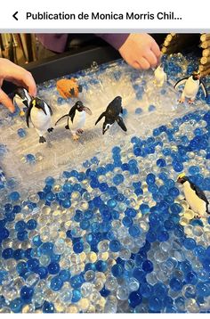 several penguins are standing on top of plastic water bottles and playing with bubbles in the water