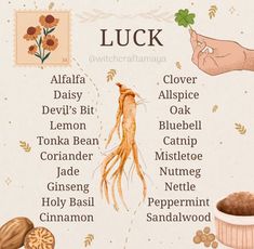 Good Luck Witchcraft, Herbs For Luck, Herbs For Good Luck, Luck Witchcraft, Witch Practice, Herbal Witch, Simmer Pot Recipes, Candle Magic Spells