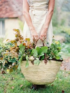 a woman is holding a basket full of plants in the grass with her hands on it