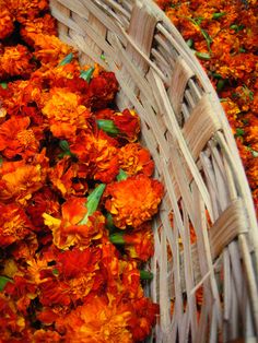 a basket filled with lots of orange flowers