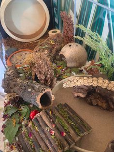 a table topped with lots of different types of plants and rocks on top of it