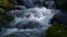 the water is running over rocks and moss