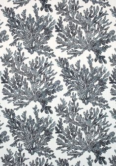 a black and white wallpaper with seaweed on it